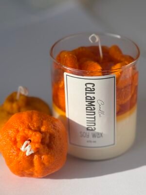 photo_2025-11-09_17-01-26 Calamantina